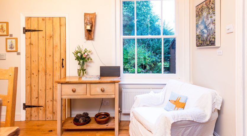 Photo of Into the Forest