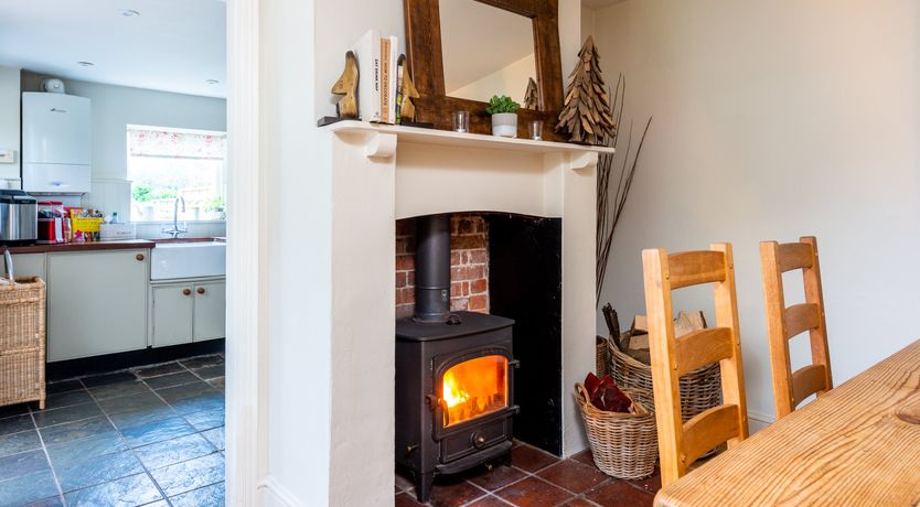 Photo of Into the Forest