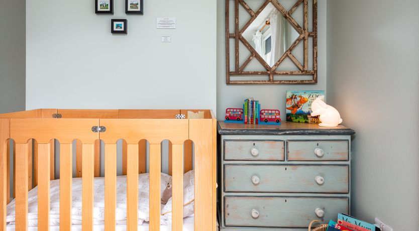 Photo of Into the Forest