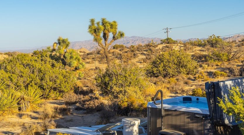 Photo of Desert Willow