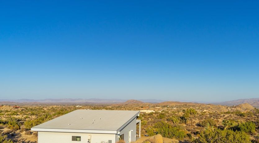 Photo of Desert Willow