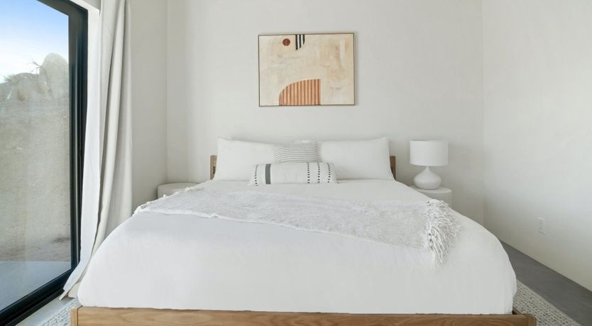 Photo of Desert Willow