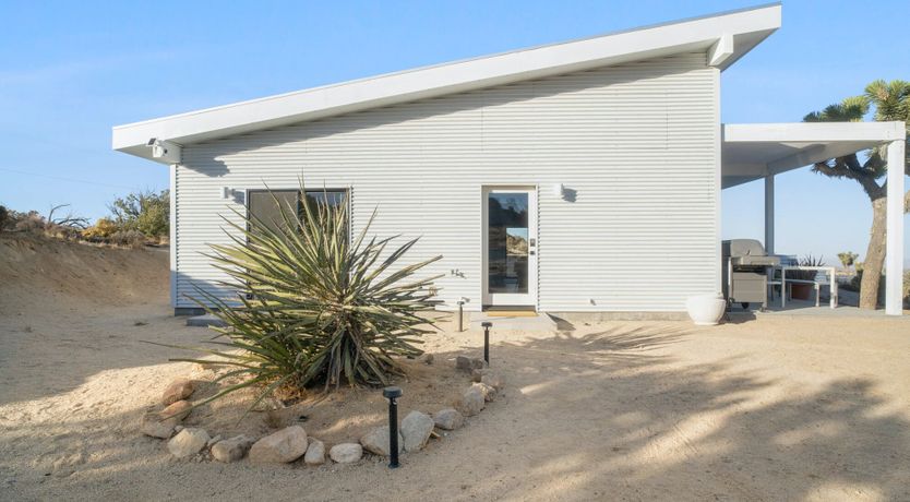 Photo of Desert Willow