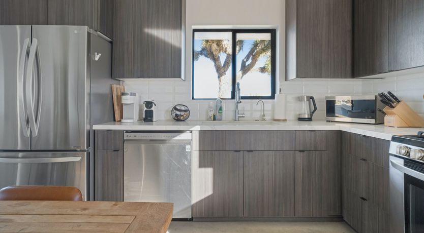 Photo of Desert Willow