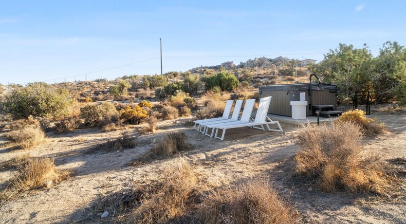 Photo of Desert Willow