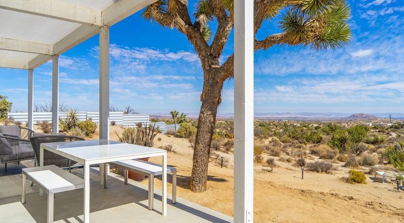 Photo of Desert Willow