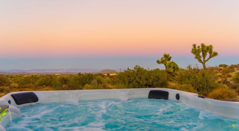 Photo of Desert Willow