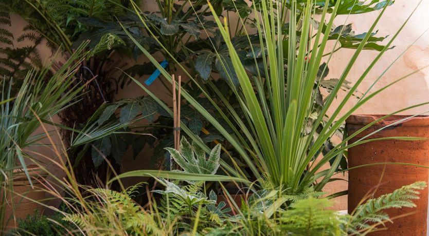 Photo of A Done Deal