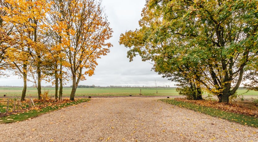 Photo of Ancient Oak