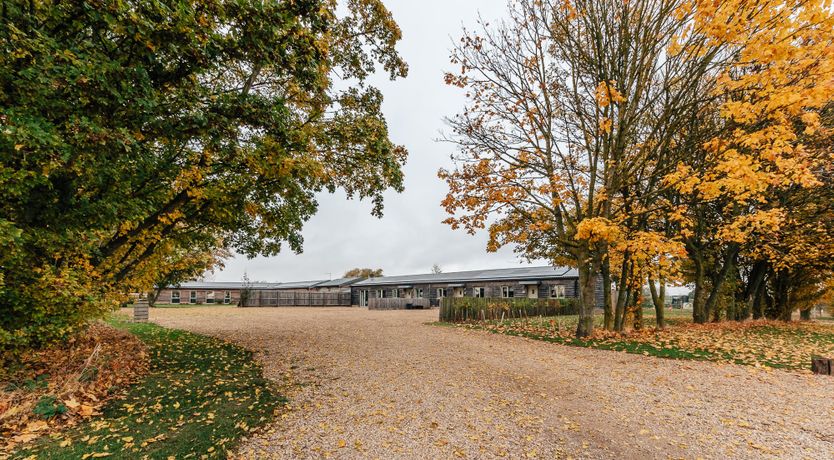 Photo of Ancient Oak