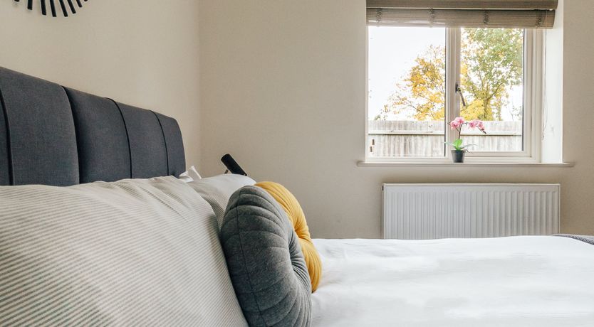 Photo of Ancient Oak