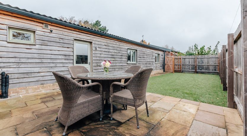 Photo of Ancient Oak