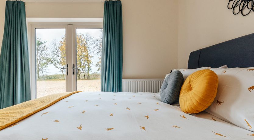 Photo of Ancient Oak