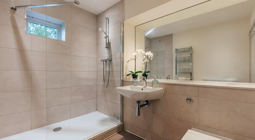 Photo of Ancient Oak