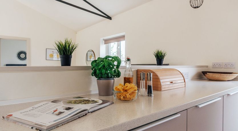 Photo of Ancient Oak