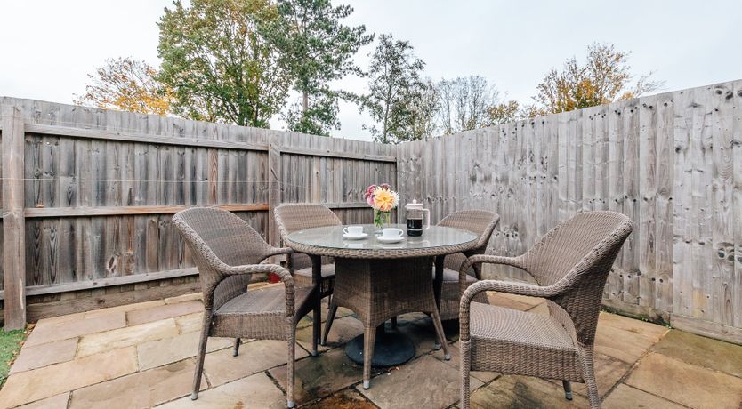 Photo of Ancient Oak