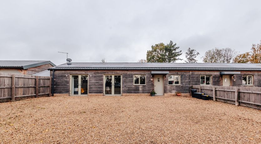 Photo of Ancient Oak