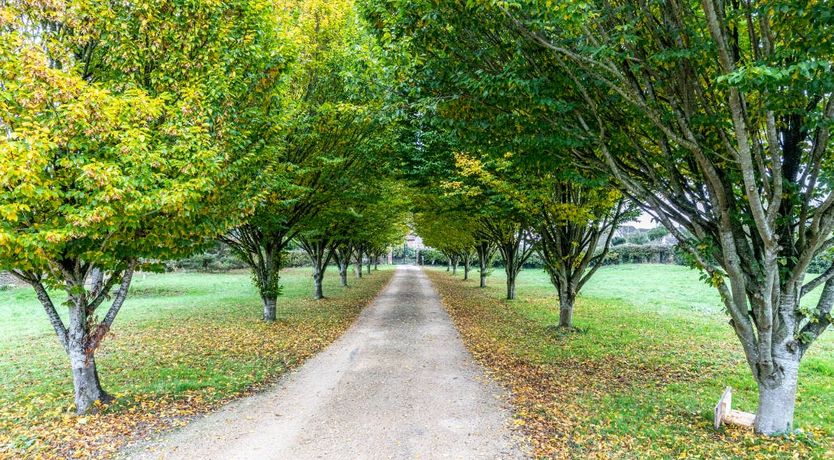 Photo of Coach House