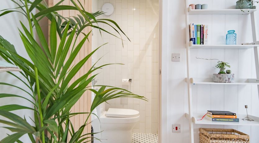 Photo of Three Wooden Boats