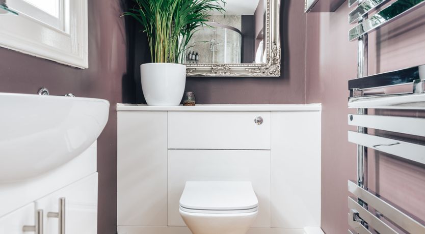 Photo of The Sea In Bloom