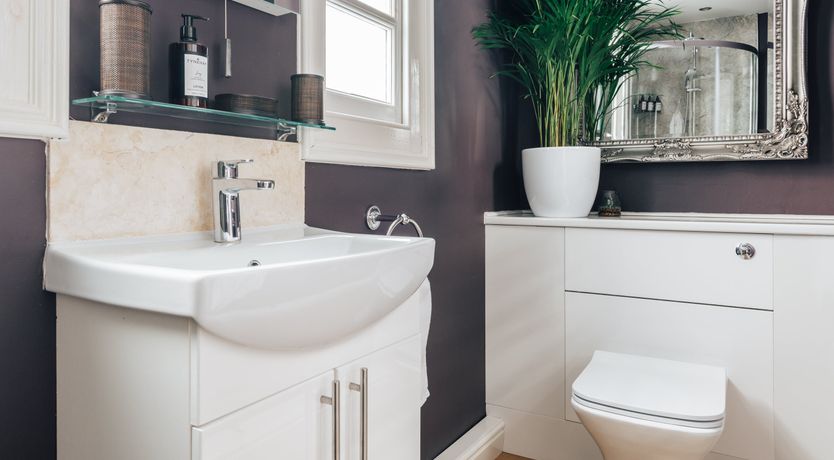 Photo of The Sea In Bloom