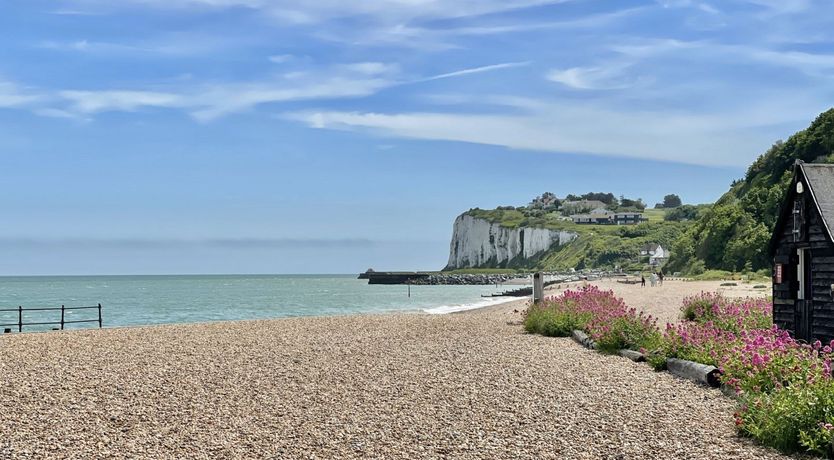 Photo of Hollyhocks By The Sea