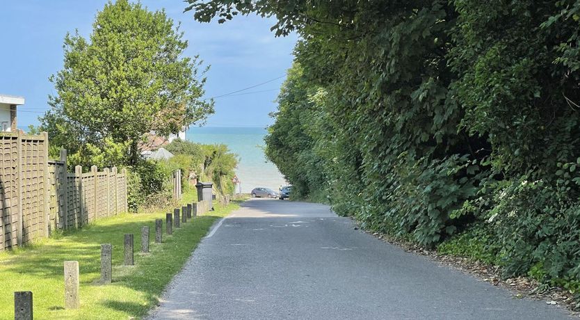 Photo of Hollyhocks By The Sea