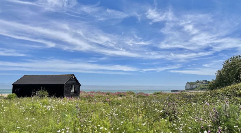 Photo of Hollyhocks By The Sea