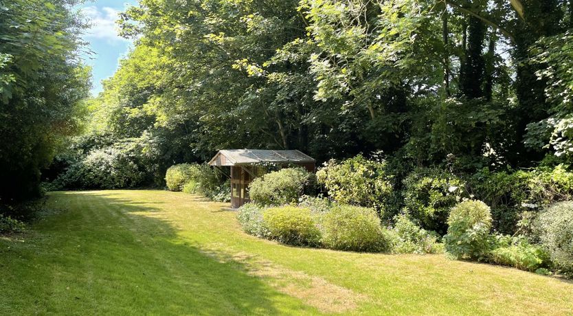 Photo of Hollyhocks By The Sea