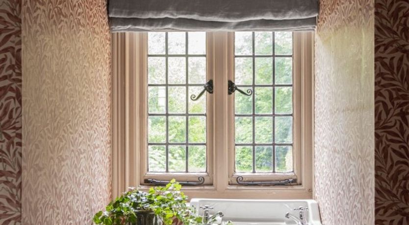 Photo of Hollyhocks By The Sea