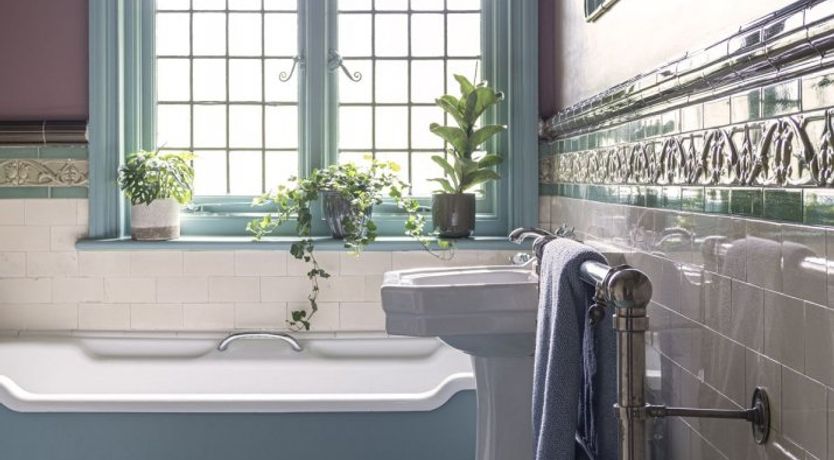 Photo of Hollyhocks By The Sea