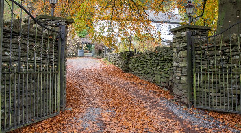 Photo of Wink to the Past