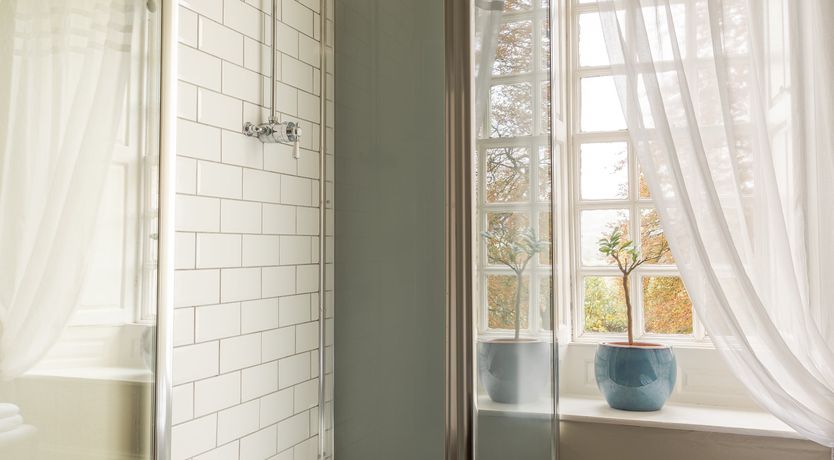 Photo of Wink to the Past