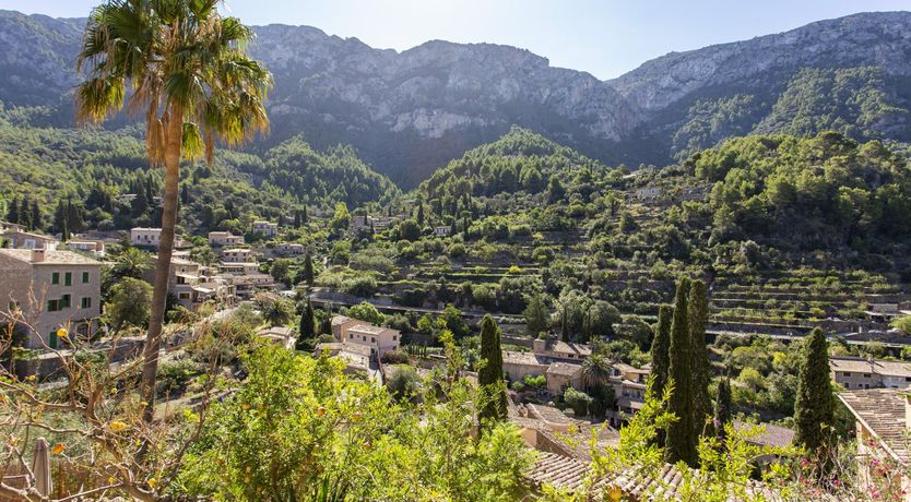 Photo of Climbing Gardens