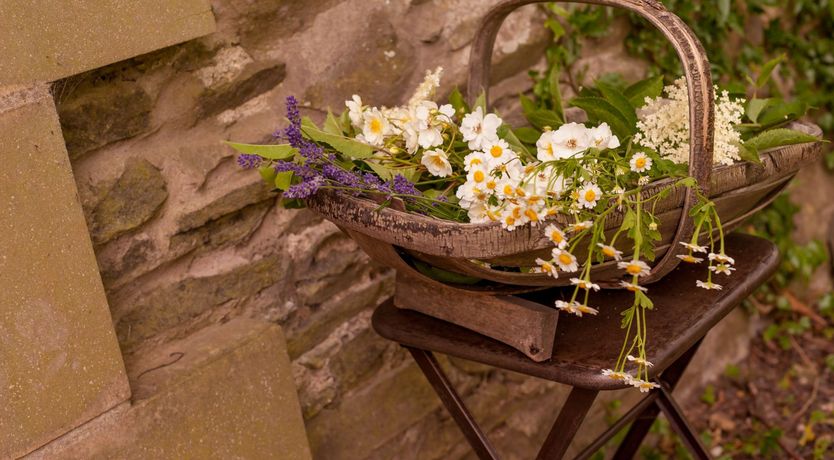 Photo of The Old Mill House