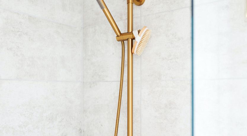 Photo of Starfish & Driftwood