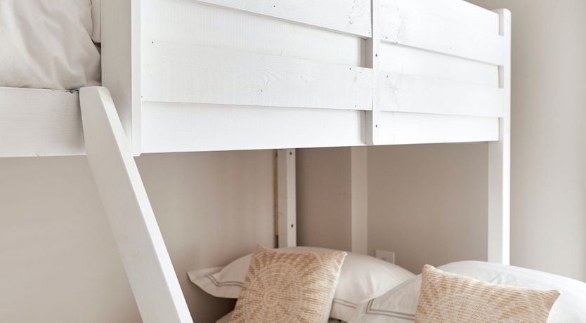 Photo of Starfish & Driftwood