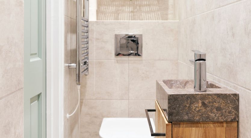 Photo of Starfish & Driftwood