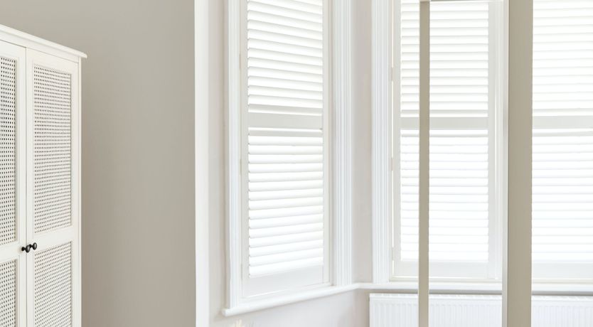 Photo of Starfish & Driftwood