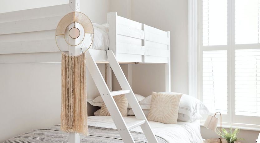 Photo of Starfish & Driftwood