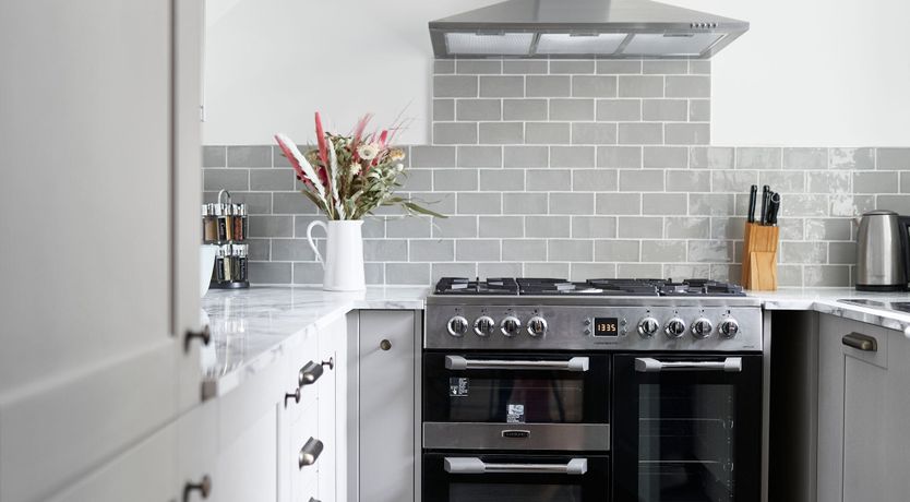 Photo of Starfish & Driftwood