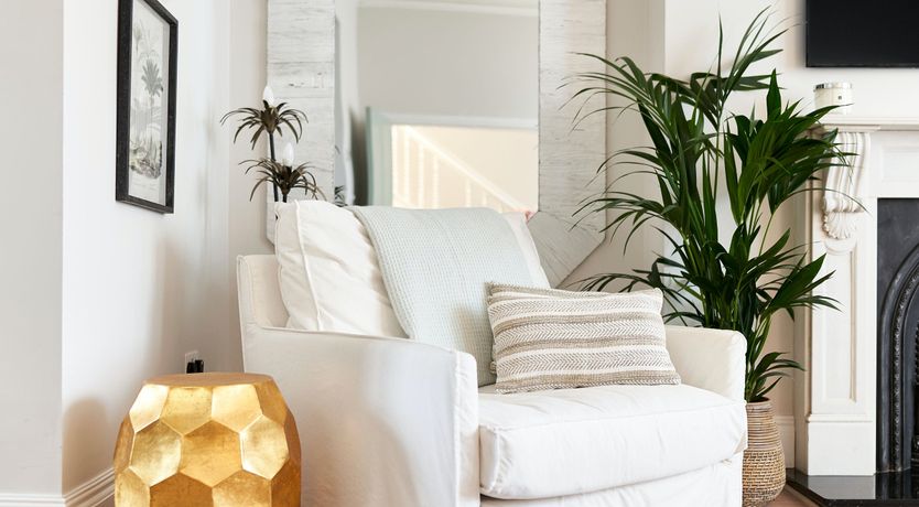 Photo of Starfish & Driftwood