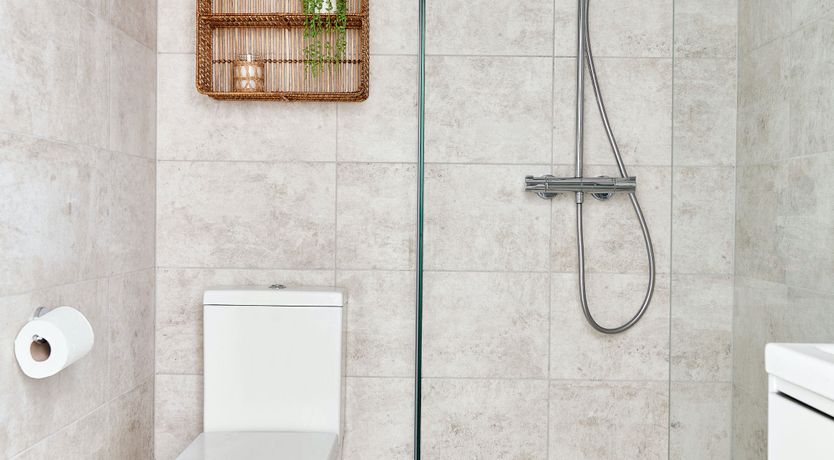 Photo of Starfish & Driftwood