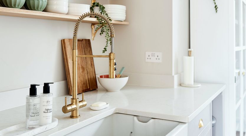 Photo of Starfish & Driftwood