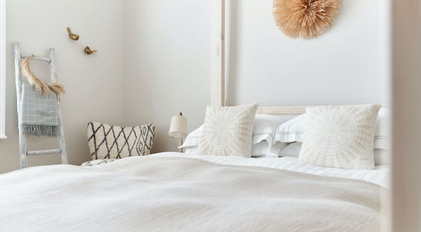 Photo of Starfish & Driftwood