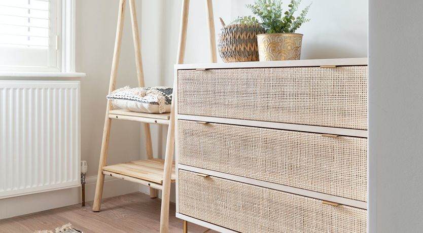 Photo of Starfish & Driftwood