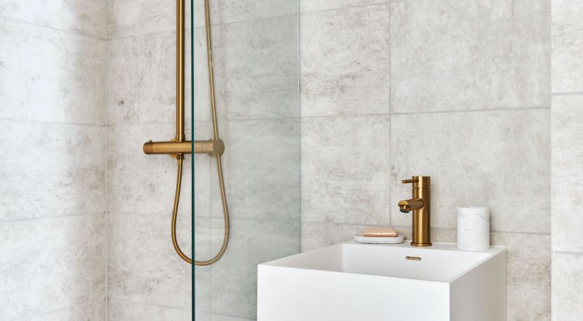 Photo of Starfish & Driftwood