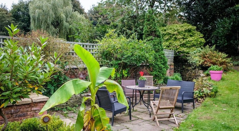 Photo of Say it With Flowers