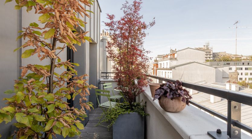 Photo of The Gallic Elvis