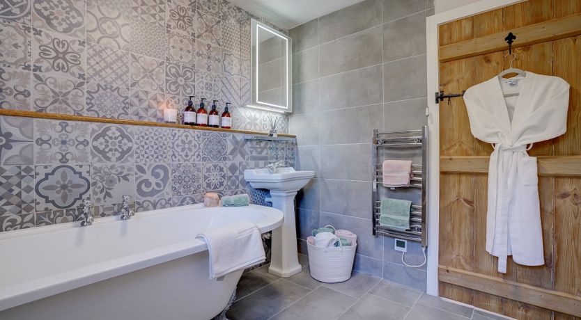 Photo of The Shelduck